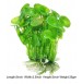 Dieffenbachia Plastic Plant
